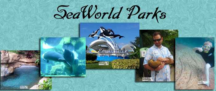 SeaWorld Parks Header Photo