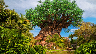 Walt Disney World Animal Kingdom Tree of life